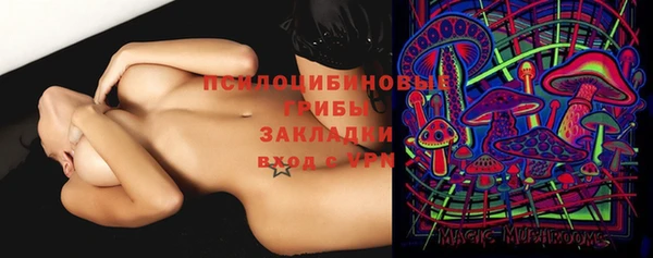 МДПВ Нея