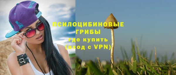 ПСИЛОЦИБИНОВЫЕ ГРИБЫ Абдулино