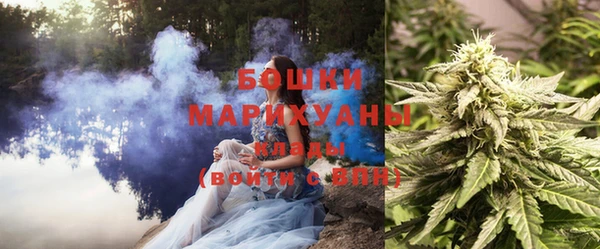 МДПВ Нея