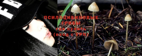 ПСИЛОЦИБИНОВЫЕ ГРИБЫ Абдулино